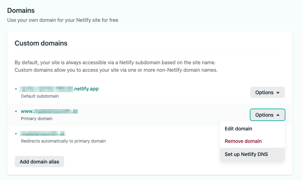 Part of a Netlify web page displaying a dropdown for one of the custom domains with the `Set up Netlify DNS` option selected